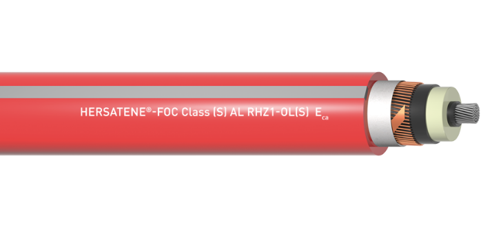 Hersatene-Foc Class (S) | AL RHZ1-OL (S) | Eca