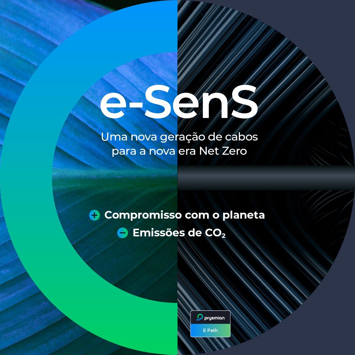 e-sens_cuadrado_estatico_PT