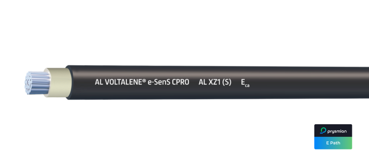 Al-Voltalene-e-SenS-CPRO-S-AL-XZ1-S-Eca-Jul25
