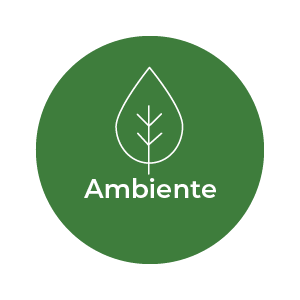 picto ambiental.png