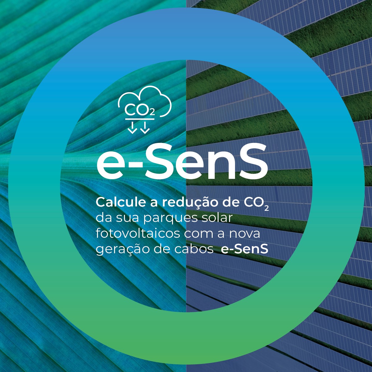 calculadora_1200x1200px_PT